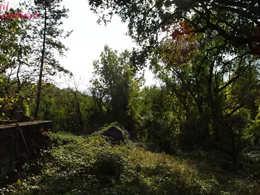 Immagine 21 di Villa in vendita  in Podere IL CASONE 55/A a Poppi