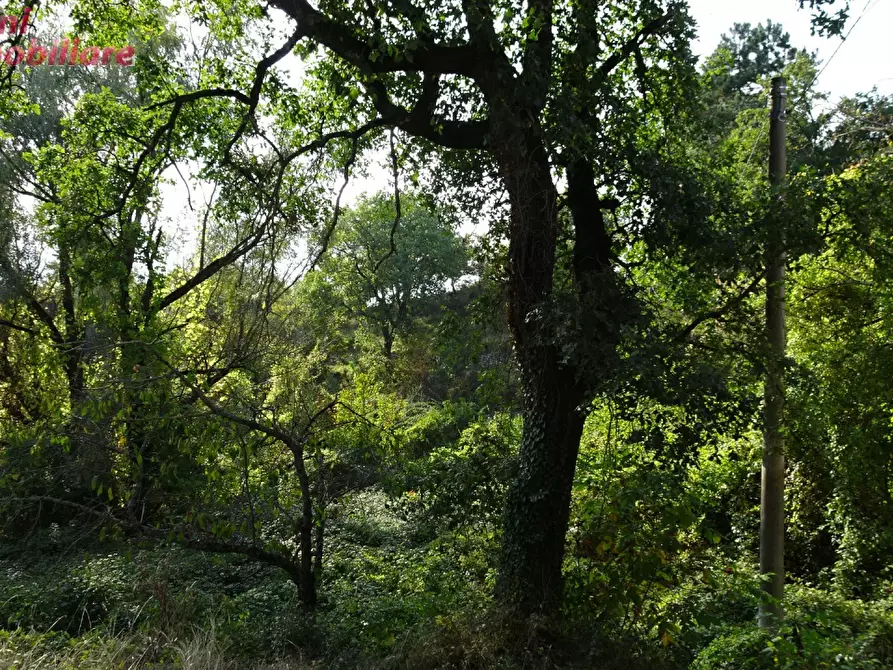 Immagine 22 di Villa in vendita  in Podere IL CASONE 55/A a Poppi