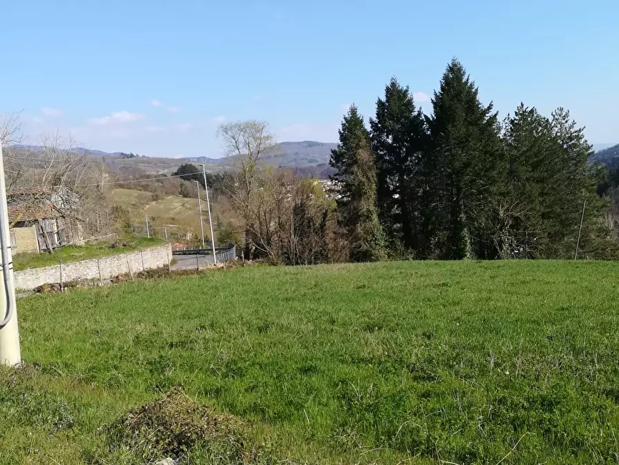 Immagine 5 di Terreno residenziale in vendita  in Loc.Pescaia a Pratovecchio Stia