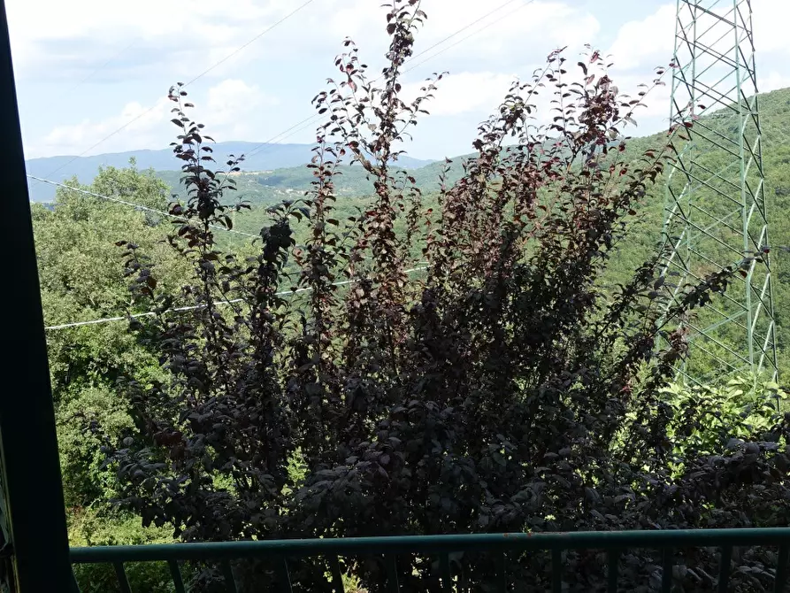 Immagine 3 di Casa indipendente in vendita  in pieve di pontenano 60 a Capolona