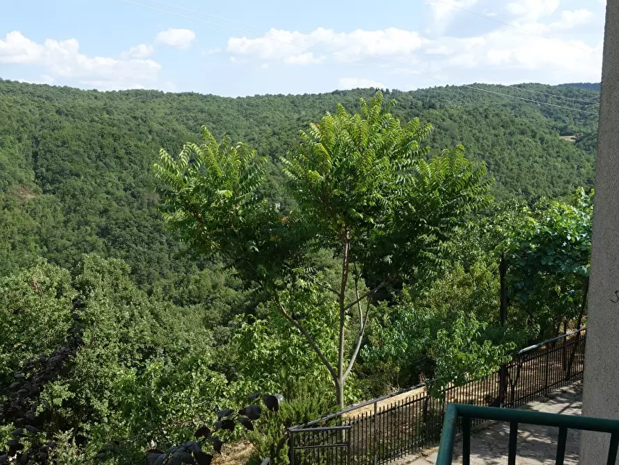 Immagine 4 di Casa indipendente in vendita  in pieve di pontenano 60 a Capolona