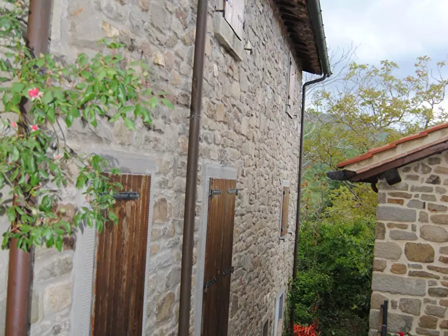 Immagine 41 di Casa semindipendente in vendita  in Monte Borgnoli a Capolona