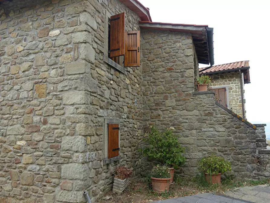 Immagine 56 di Casa semindipendente in vendita  in Monte Borgnoli a Capolona