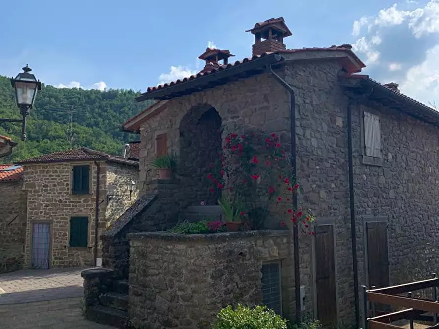 Immagine 62 di Casa semindipendente in vendita  in Monte Borgnoli a Capolona