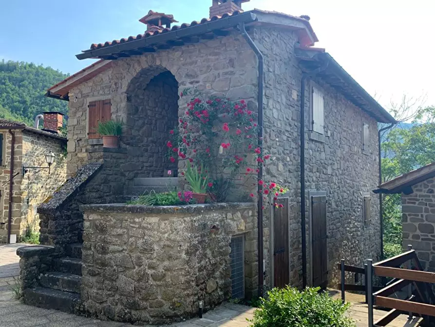 Immagine 69 di Casa semindipendente in vendita  in Monte Borgnoli a Capolona