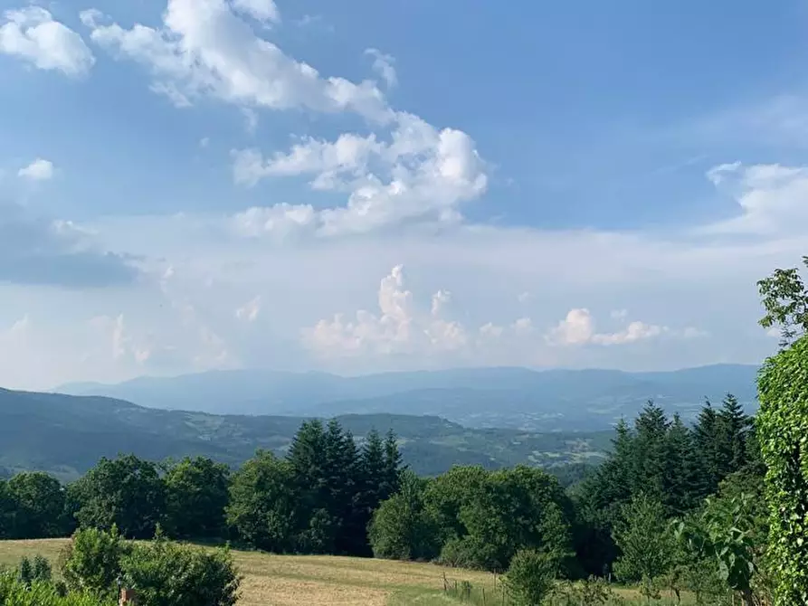 Immagine 71 di Casa semindipendente in vendita  in Monte Borgnoli a Capolona