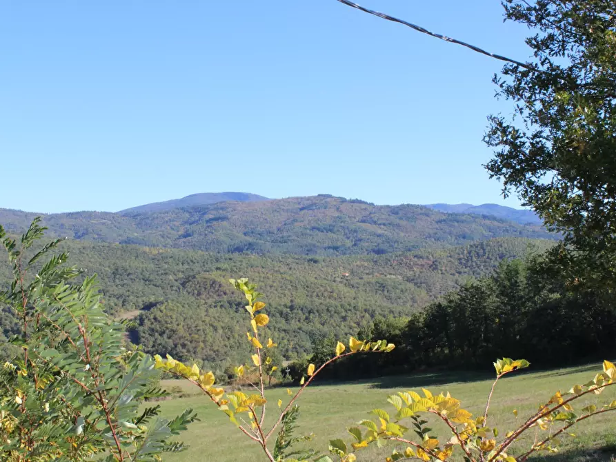 Immagine 34 di Casa semindipendente in vendita  in loc. Bivio di Banzena 65 a Bibbiena
