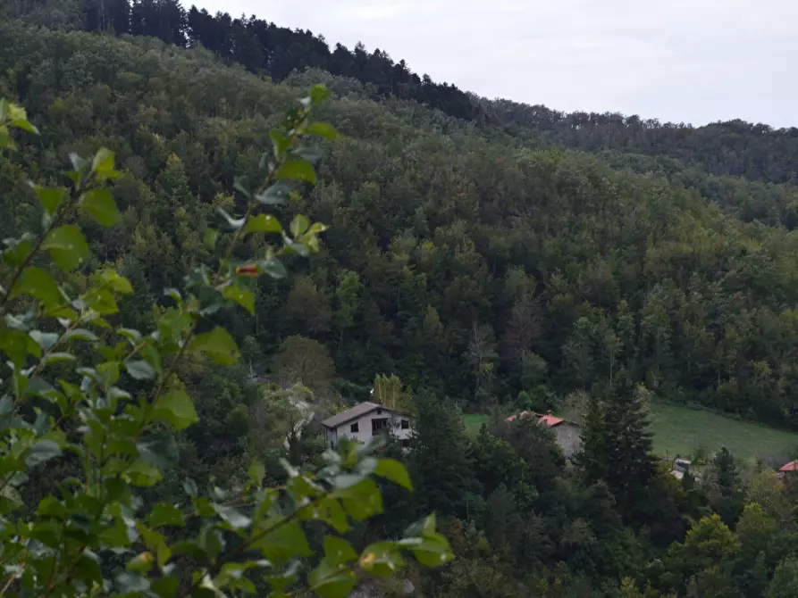 Immagine 51 di Casa indipendente in vendita  in via la casina 25 a Poppi