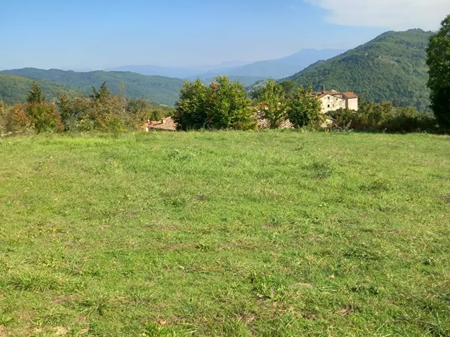 Immagine 2 di Terreno residenziale in vendita  in località Sant'Antonio a Capolona
