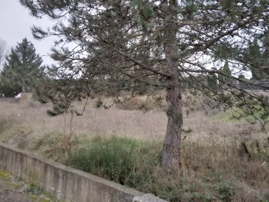Immagine 5 di Terreno residenziale in vendita  in via Sandro Pertini a Bibbiena