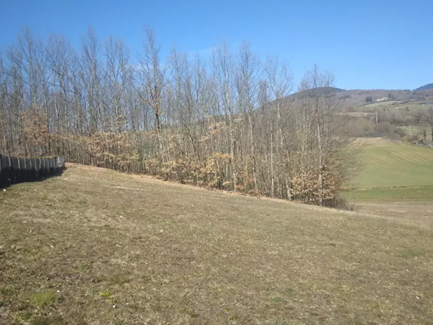 Immagine 2 di Terreno residenziale in vendita  in VIA GUAZZI SNC a Bibbiena