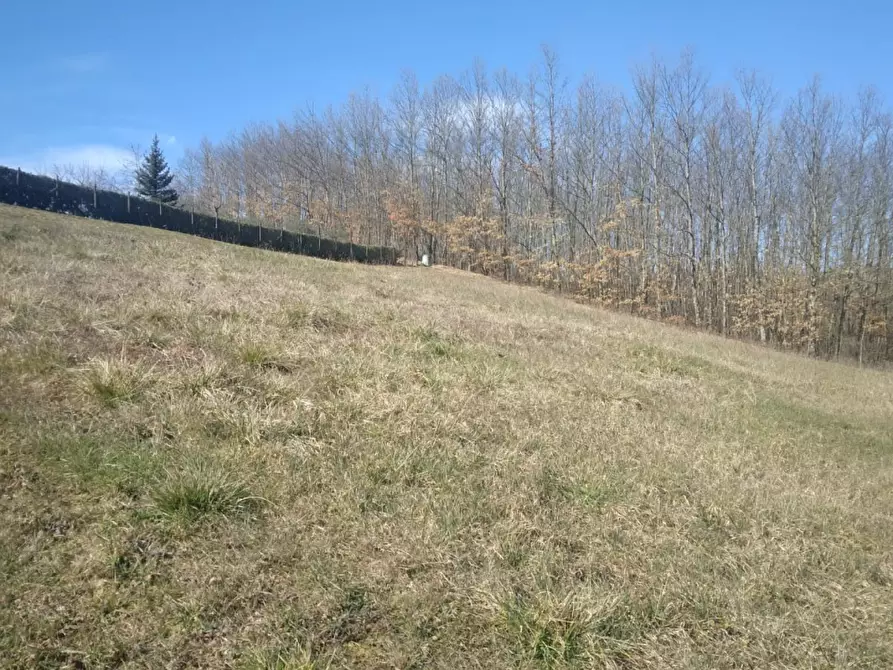 Immagine 5 di Terreno residenziale in vendita  in VIA GUAZZI SNC a Bibbiena