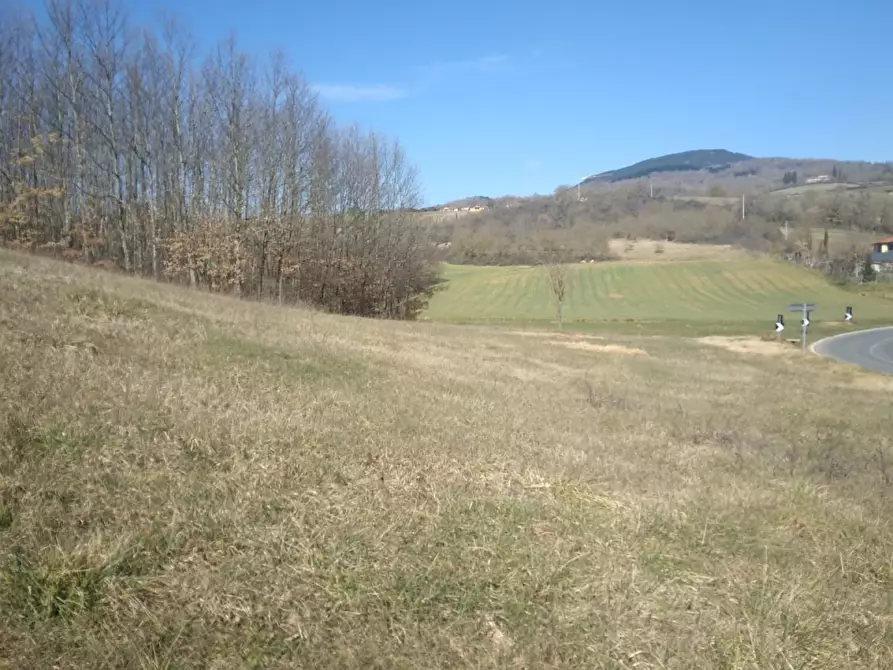 Immagine 6 di Terreno residenziale in vendita  in VIA GUAZZI SNC a Bibbiena