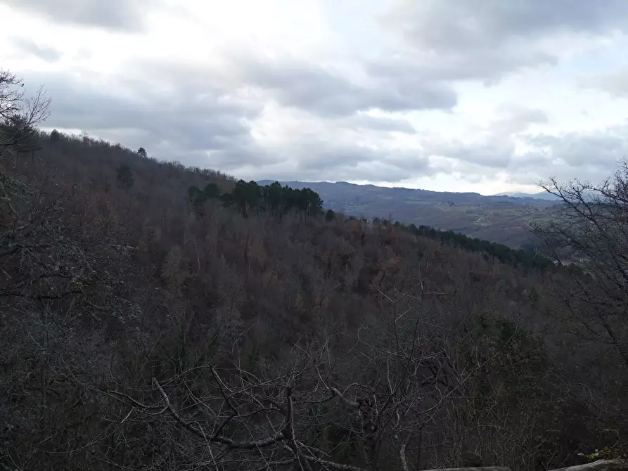 Immagine 33 di Villa in vendita  in Località Filetto 4 a Poppi