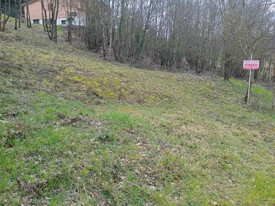 Immagine 2 di Terreno residenziale in vendita  in Località Campo dell'Alpe snc a Capolona