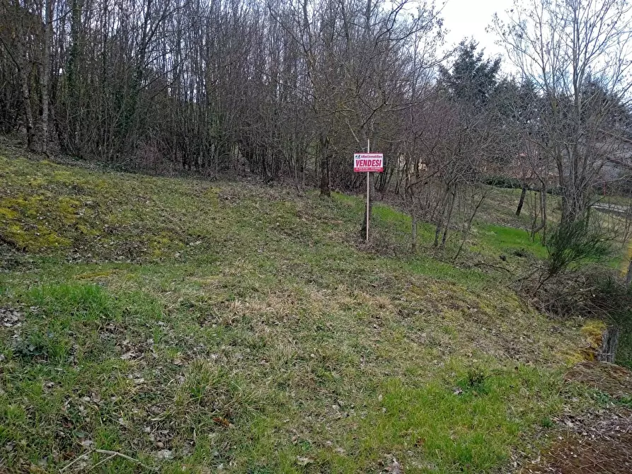 Immagine 4 di Terreno residenziale in vendita  in Località Campo dell'Alpe snc a Capolona