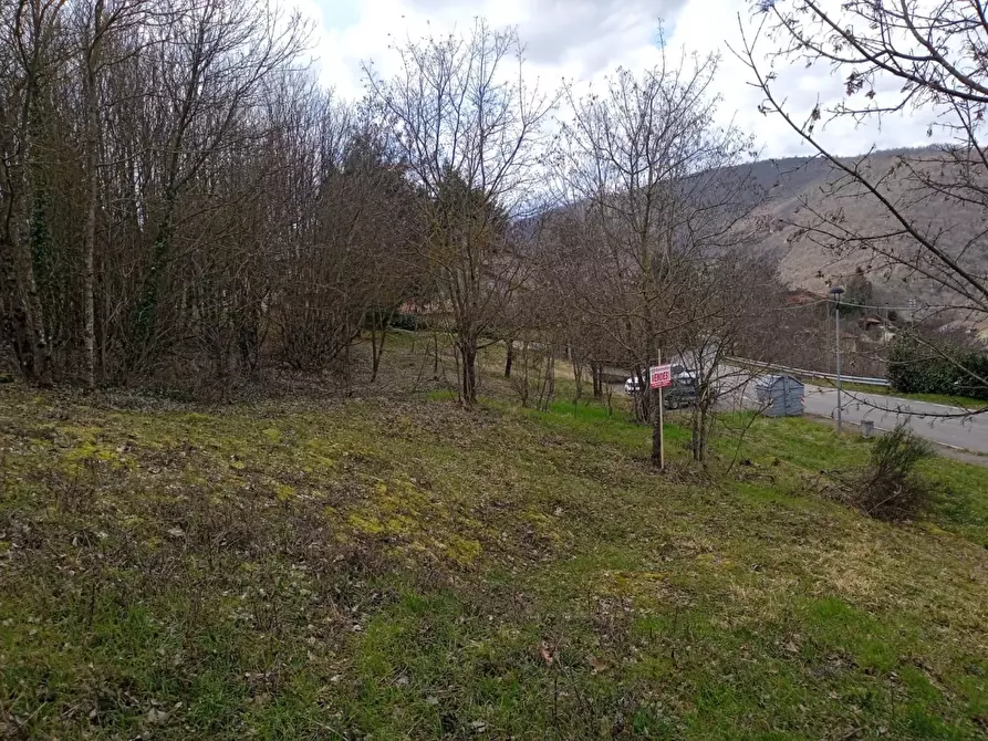 Immagine 5 di Terreno residenziale in vendita  in Località Campo dell'Alpe snc a Capolona