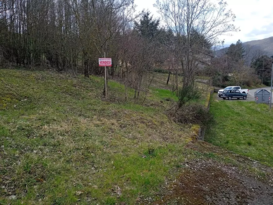 Immagine 6 di Terreno residenziale in vendita  in Località Campo dell'Alpe snc a Capolona