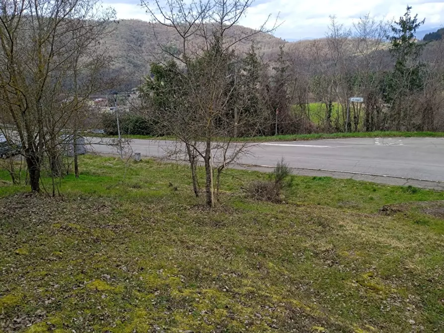Immagine 7 di Terreno residenziale in vendita  in Località Campo dell'Alpe snc a Capolona