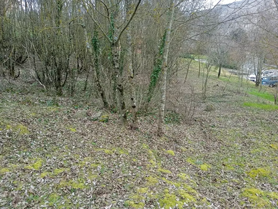 Immagine 8 di Terreno residenziale in vendita  in Località Campo dell'Alpe snc a Capolona