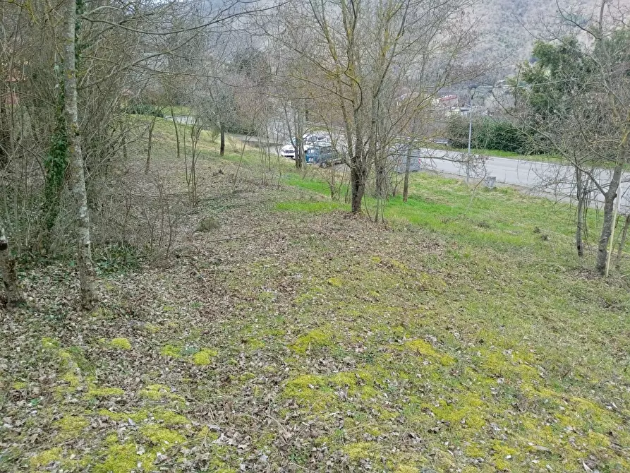 Immagine 9 di Terreno residenziale in vendita  in Località Campo dell'Alpe snc a Capolona