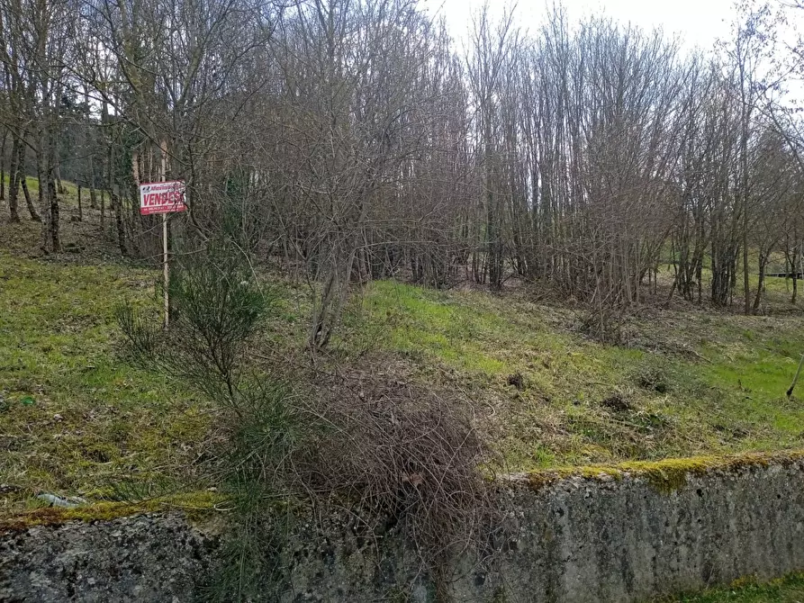 Immagine 11 di Terreno residenziale in vendita  in Località Campo dell'Alpe snc a Capolona