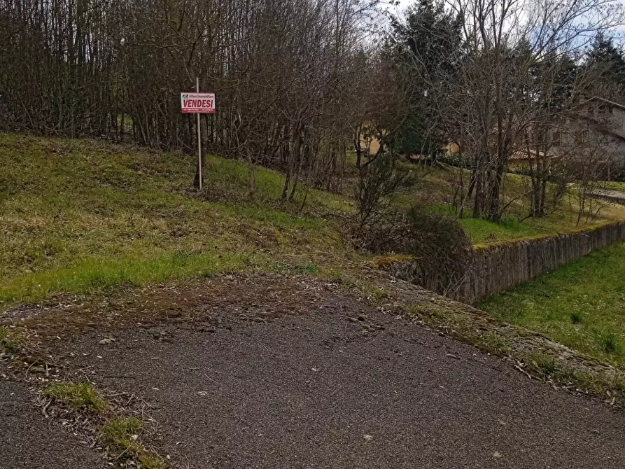 Immagine 12 di Terreno residenziale in vendita  in Località Campo dell'Alpe snc a Capolona