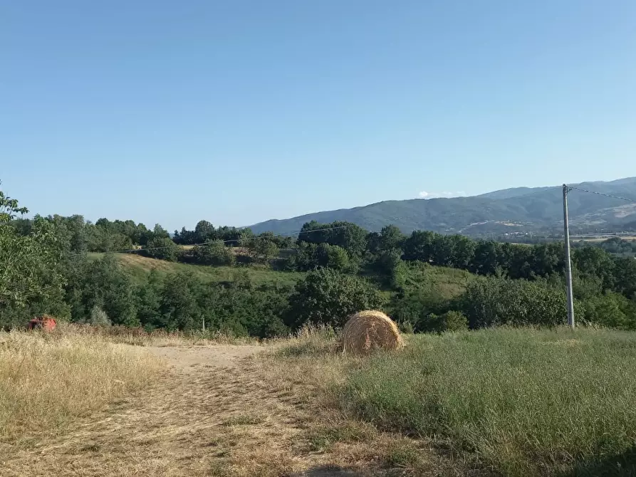 Immagine 5 di Rustico / casale in vendita  a Bibbiena