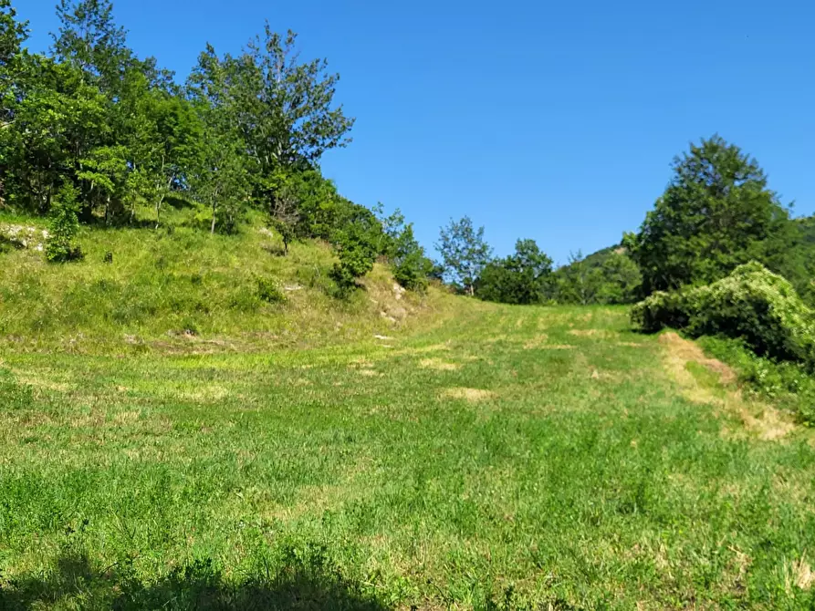 Immagine 12 di Terreno agricolo in vendita  in località compito a Capolona