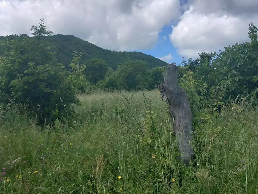 Immagine 4 di Terreno residenziale in vendita  in località Riosecco a Poppi
