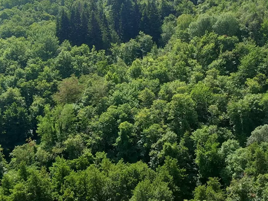 Immagine 13 di Appartamento in vendita  in LOCALITA RAGGIOLO 8 a Capolona