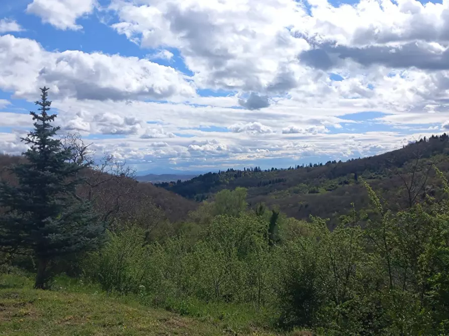 Immagine 3 di Villa in vendita  in Loc. Sant'Angelo a Montegiovi 13 a Capolona