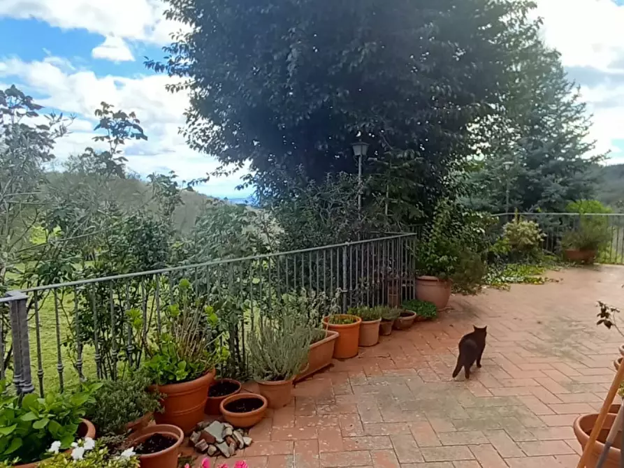 Immagine 6 di Villa in vendita  in Loc. Sant'Angelo a Montegiovi 13 a Capolona