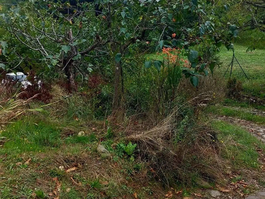 Immagine 3 di Rustico / casale in vendita  in via di Cinano 40 a Castel Focognano