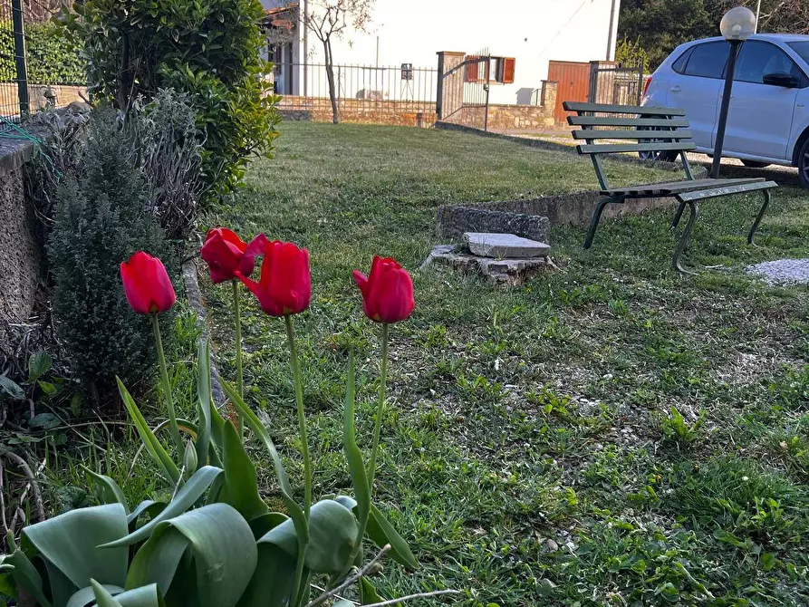 Immagine 58 di Appartamento in vendita  in via di Bicciano 3 a Capolona