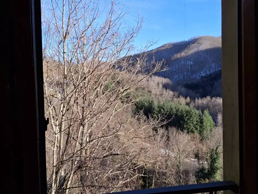 Immagine 42 di Casa semindipendente in vendita  in LOC LA CASINA BADIA PRATAGLIA 16 a Poppi