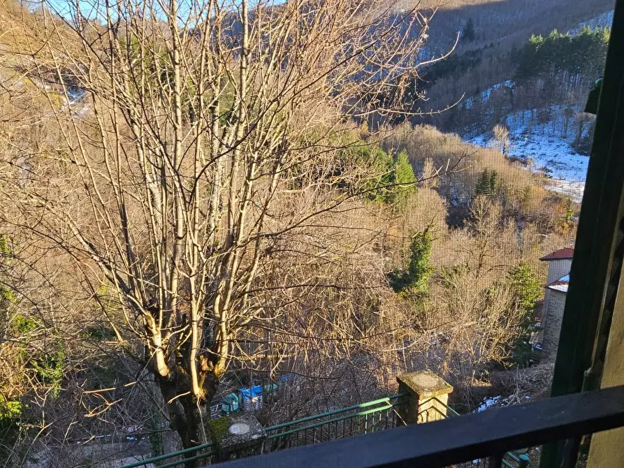 Immagine 59 di Casa semindipendente in vendita  in LOC LA CASINA BADIA PRATAGLIA 16 a Poppi