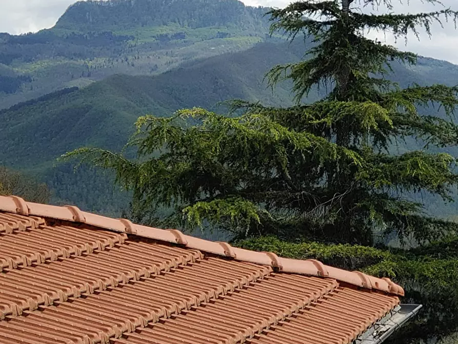 Immagine 4 di Appartamento in vendita  in LOC COREZZO 52 a Capolona