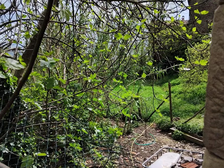 Immagine 8 di Magazzino in vendita  in LOC MARCIANO a Bibbiena