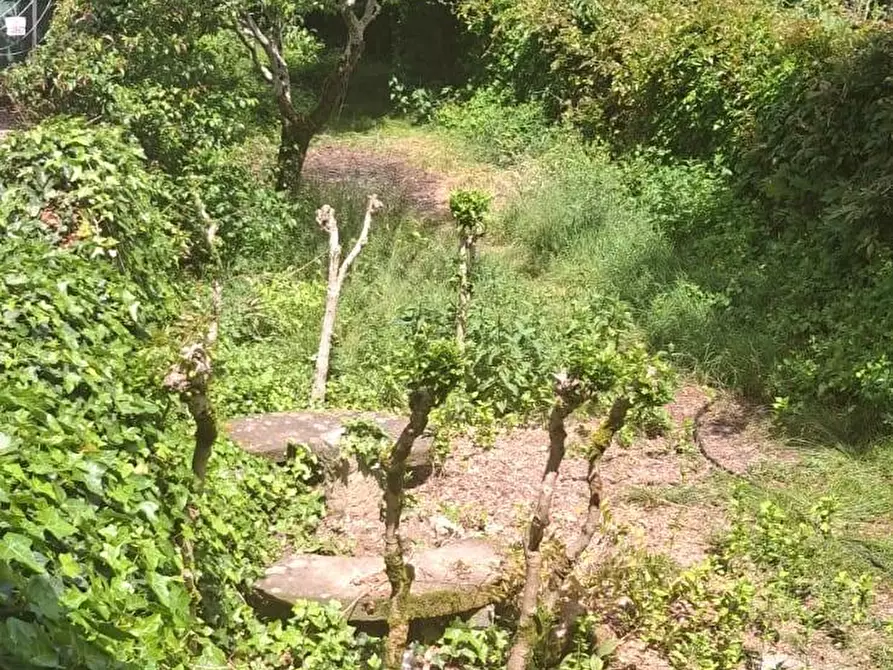 Immagine 16 di Appartamento in vendita  in piazza San Pietro 54 a Capolona