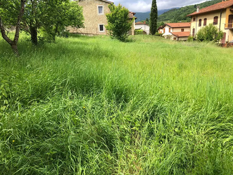Immagine 2 di Terreno residenziale in vendita  in VIA PROVINCIALE 28 a Capolona