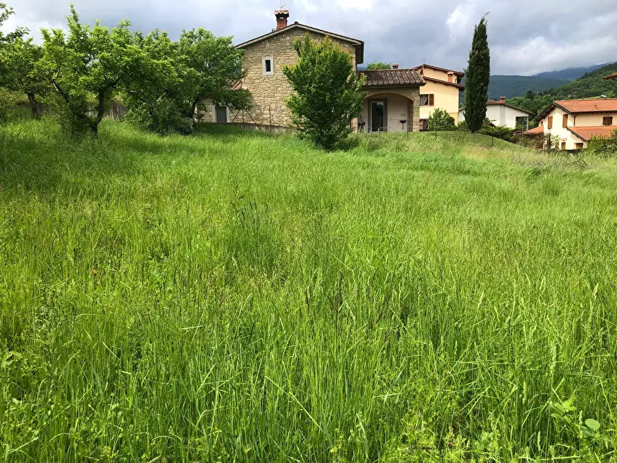Immagine 4 di Terreno residenziale in vendita  in VIA PROVINCIALE 28 a Capolona