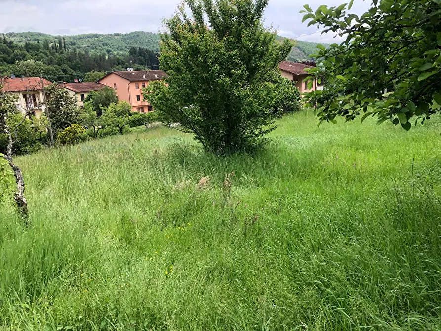 Immagine 5 di Terreno residenziale in vendita  in VIA PROVINCIALE 28 a Capolona