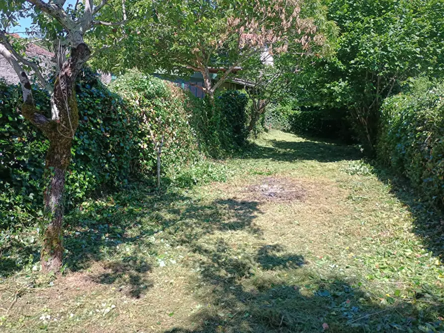 Immagine 18 di Appartamento in vendita  in piazza San Pietro 54 a Capolona