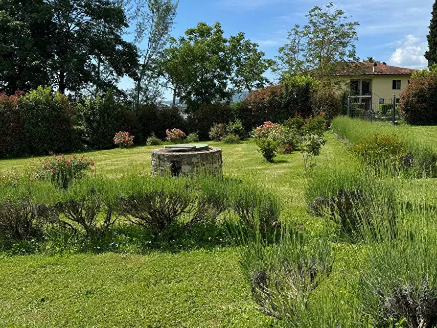 Immagine 2 di Azienda agricola in vendita  in VIA NAZIONALE 28 a Bibbiena