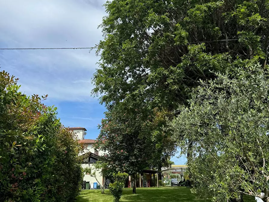 Immagine 12 di Azienda agricola in vendita  in VIA NAZIONALE 28 a Bibbiena