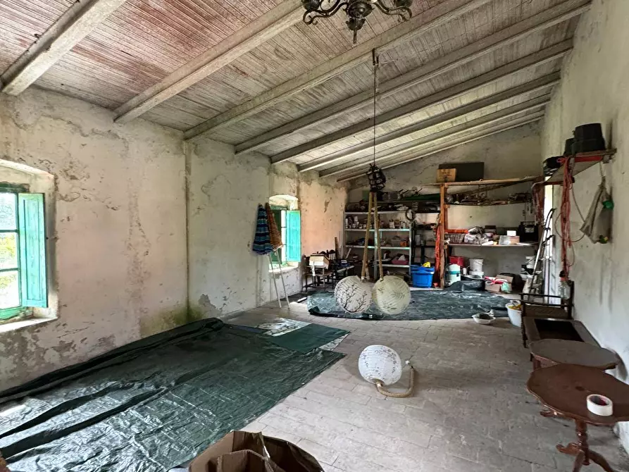 Immagine 13 di Azienda agricola in vendita  in VIA NAZIONALE 28 a Bibbiena