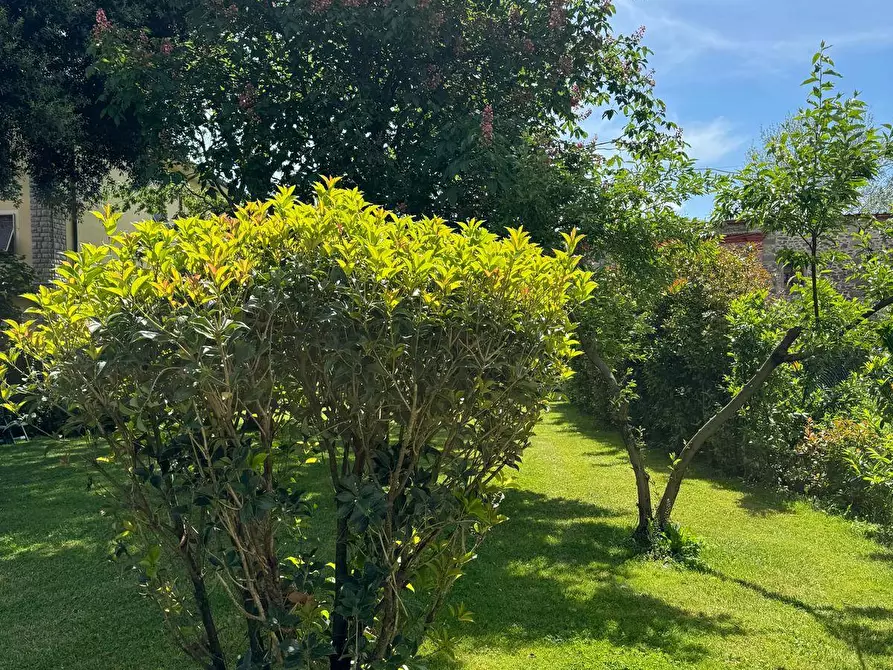 Immagine 21 di Azienda agricola in vendita  in VIA NAZIONALE 28 a Bibbiena