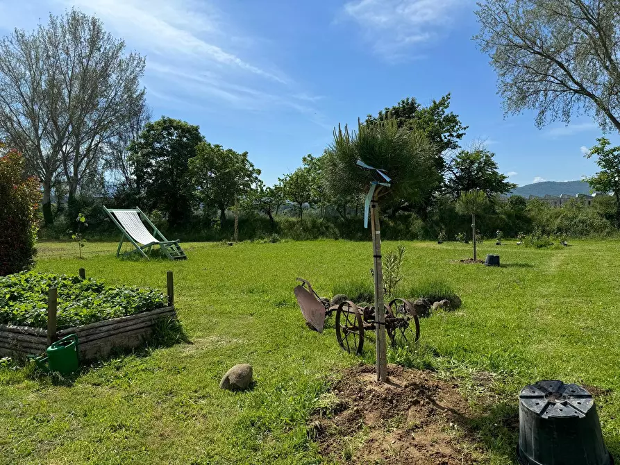 Immagine 37 di Azienda agricola in vendita  in VIA NAZIONALE 28 a Bibbiena