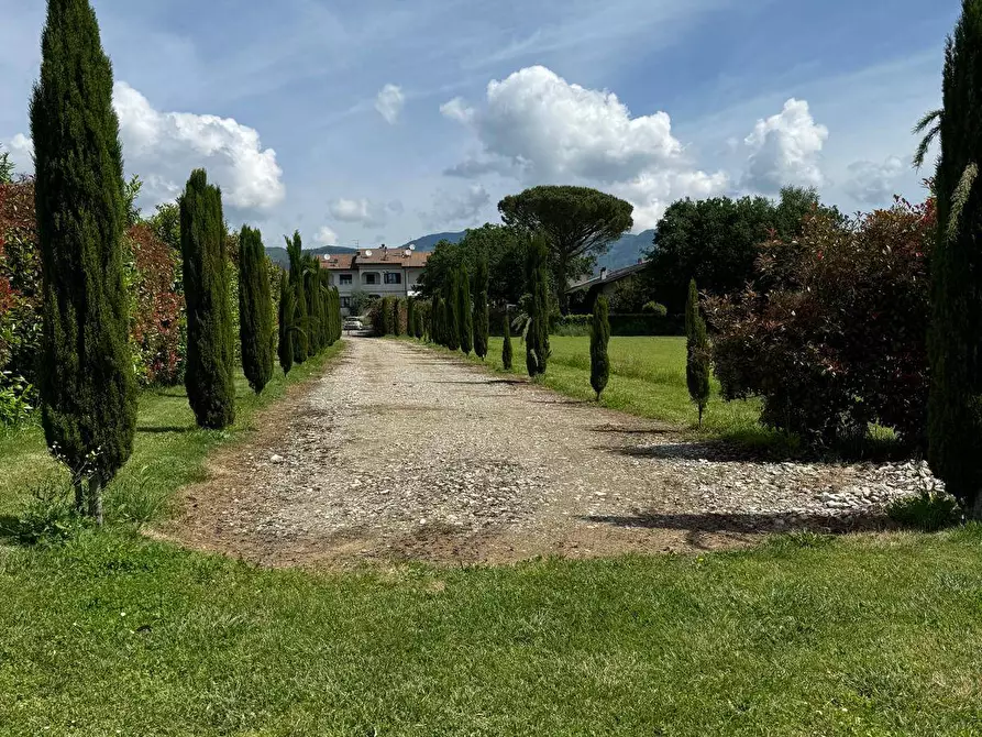 Immagine 38 di Azienda agricola in vendita  in VIA NAZIONALE 28 a Bibbiena